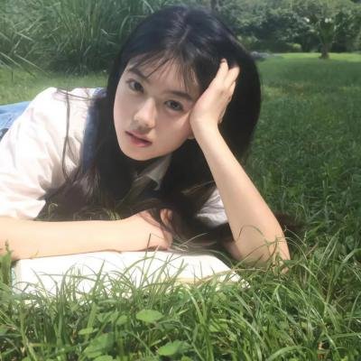 铳梦：战斗天使封面